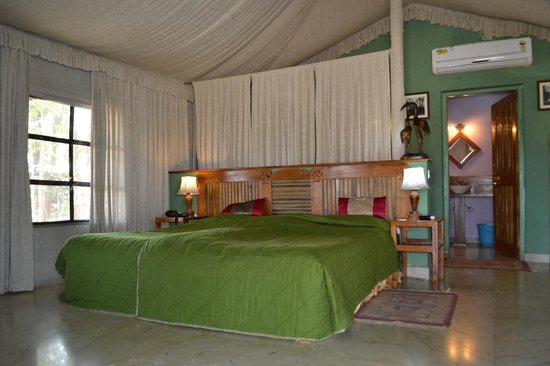 Pench Jungle Camp
